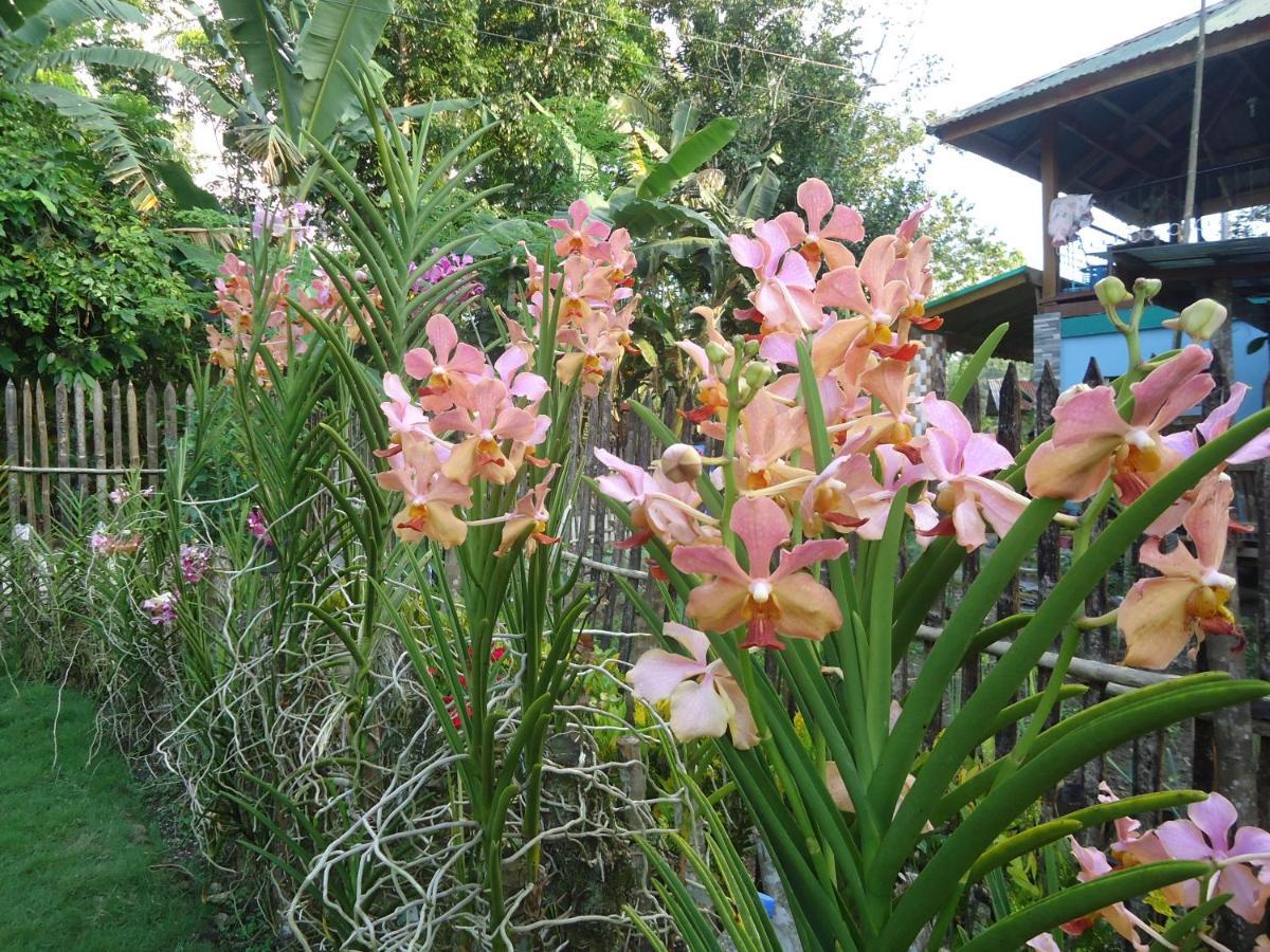 Lhoyjean Garden Hostel Batuan Dış mekan fotoğraf