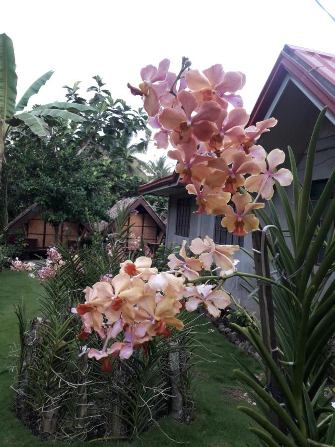 Lhoyjean Garden Hostel Batuan Dış mekan fotoğraf
